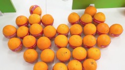 1024程序員節快樂鴨~